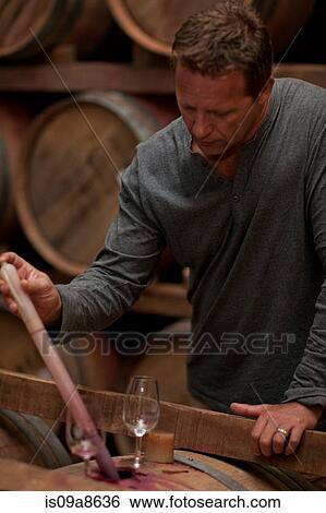 Stock Photograph - Sampling wine in barrels. Fotosearch