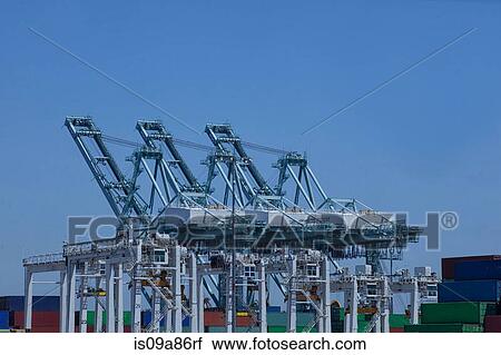 Shipping cranes at the Port of Los Angeles, California, USA View Large Photo Image Stock Image - Shipping cranes at the Port of Los Angeles, California, USA. Fotosearch