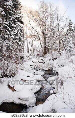Stock Photo - Snow covered trees by stream. Fotosearch