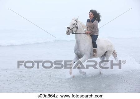 Woman riding horse on beach View Large Photo Image Stock Photo - Woman riding horse on beach. Fotosearch