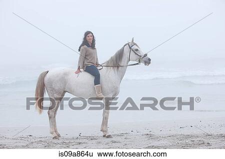 Woman riding horse on beach View Large Photo Image Stock Photograph - Woman riding horse on beach. Fotosearch