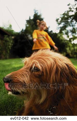 Girl and dog View Large Photo Image Stock Image - Girl and dog. Fotosearch