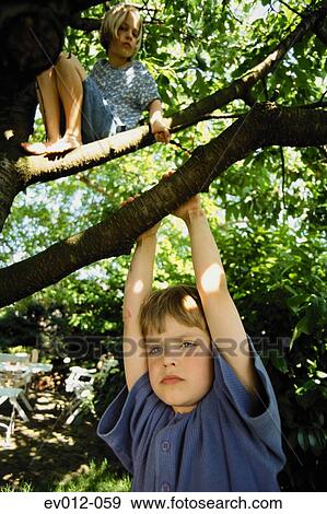 Kids on tree View Large Photo Image Stock Photo - Kids on tree. Fotosearch