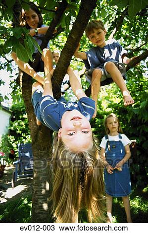 Kids playing in tree View Large Photo Image Stock Image - Kids playing in tree. Fotosearch