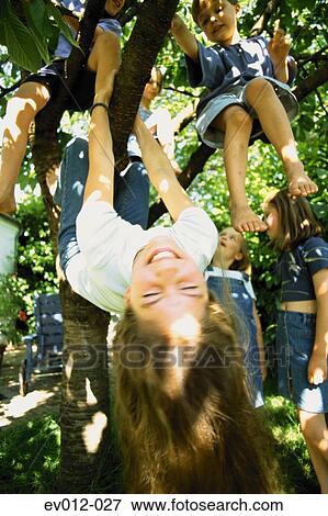 Kids playing in tree View Large Photo Image Stock Photo - Kids playing in tree. Fotosearch