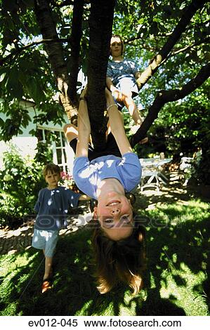Kids playing in tree View Large Photo Image Stock Photography - Kids playing in tree. Fotosearch