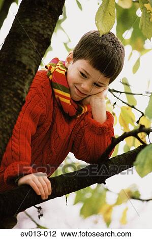 Boy on tree View Large Photo Image Stock Image - Boy on tree. Fotosearch