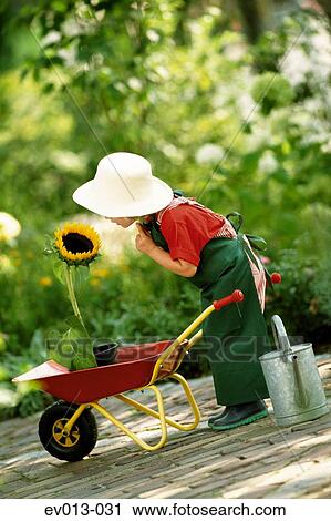 Stock Image - Girl with sunflower. Fotosearch