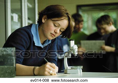 Stock Photo - Biology class. Fotosearch