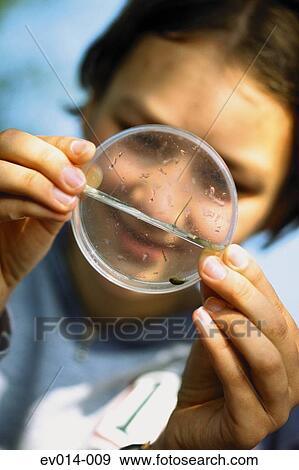 Stock Photo - Girl holding petri dish. Fotosearch