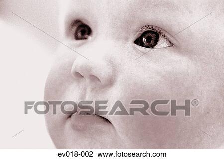 Baby View Large Photo Image Stock Image - Baby. Fotosearch