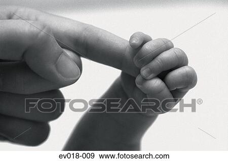 Baby's hand View Large Photo Image Stock Photo - Baby's hand. Fotosearch