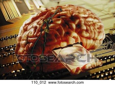 Brain wired information View Large Photo Image Stock Image - Brain wired information. Fotosearch