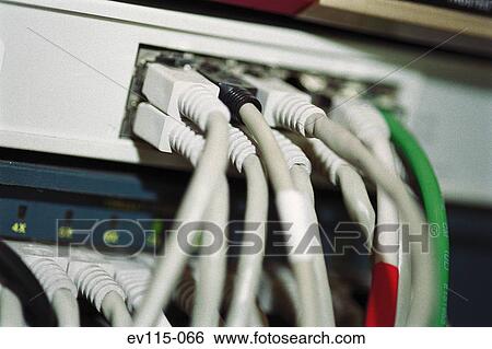 Stock Photograph - Computer cables. Fotosearch
