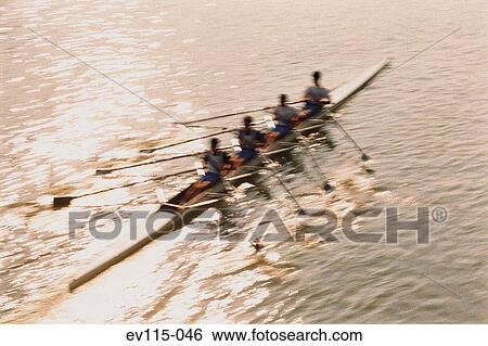 Stock Photograph - Rowing team. Fotosearch
