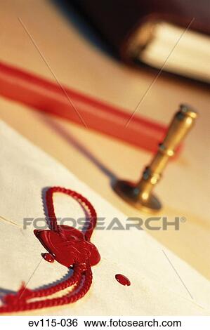 Seal View Large Photo Image Stock Photograph - Seal. Fotosearch