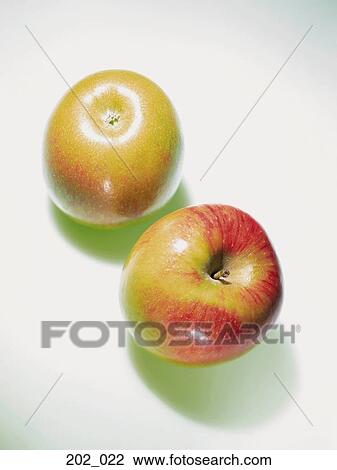 Apples View Large Photo Image Stock Image - Apples. Fotosearch