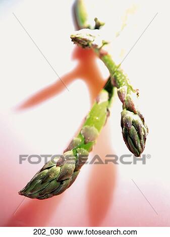 Stock Image - Asparagus. Fotosearch