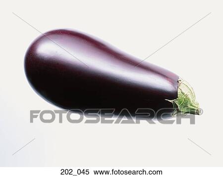 Aubergine View Large Photo Image Stock Photography - Aubergine. Fotosearch