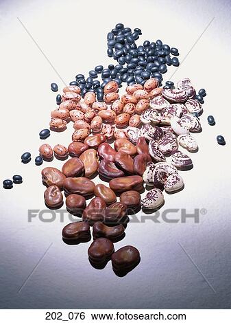 Beans View Large Photo Image Stock Photograph - Beans. Fotosearch