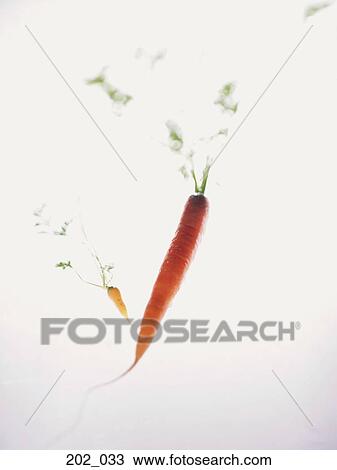 Carrot View Large Photo Image Stock Image - Carrot. Fotosearch