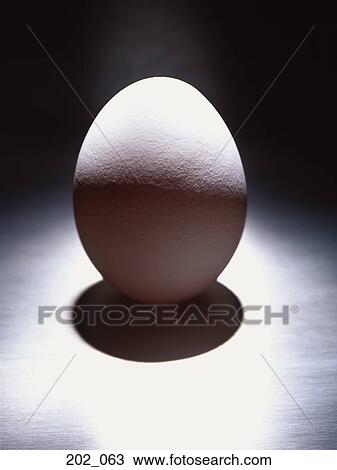 Egg View Large Photo Image Stock Image - Egg. Fotosearch