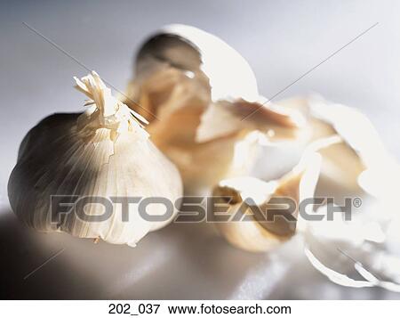 Garlic View Large Photo Image Stock Photo - Garlic. Fotosearch
