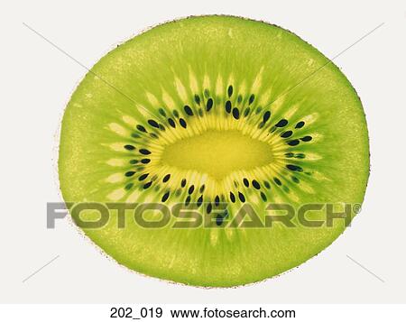 Kiwi fruit View Large Photo Image Stock Photo - Kiwi fruit. Fotosearch
