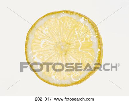 Lemon View Large Photo Image Stock Photo - Lemon. Fotosearch