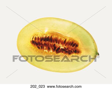 Melon View Large Photo Image Stock Image - Melon. Fotosearch