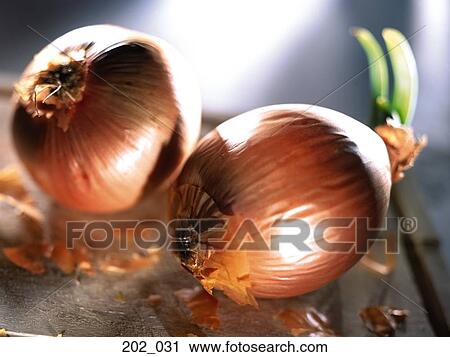 Onions View Large Photo Image Stock Image - Onions. Fotosearch