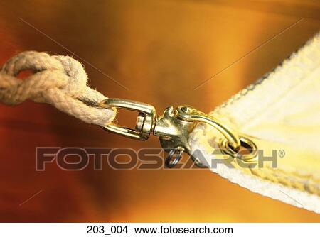 Picture - Sail. Fotosearch