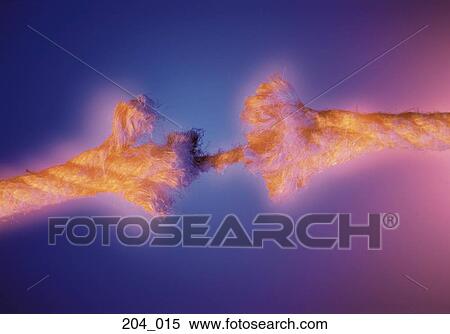 Stock Photography - Rope. Fotosearch