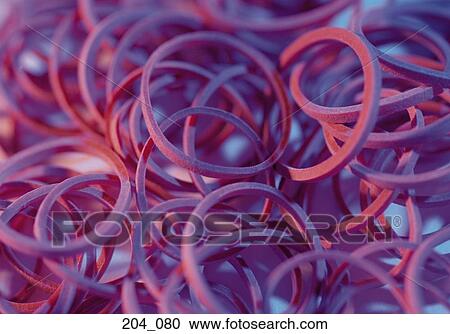 Rubber bands View Large Photo Image Stock Image - Rubber bands. Fotosearch