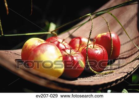Stock Photo - Bowl of apples. Fotosearch
