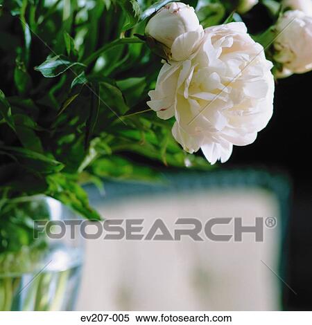 Bunch of flowers View Large Photo Image Stock Photography - Bunch of flowers. Fotosearch