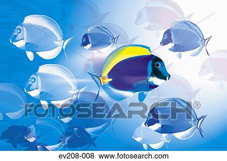 Stock Photo - Against the flow. Fotosearch