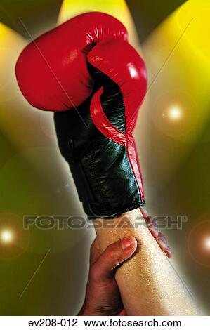 Boxing champion View Large Photo Image Stock Image - Boxing champion. Fotosearch