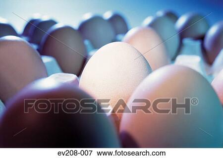 Stock Photo - Carton of eggs. Fotosearch