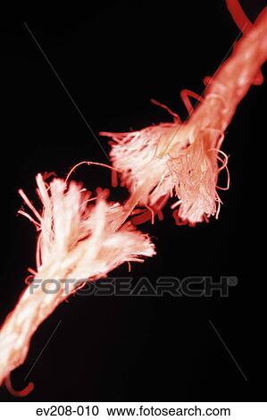 Tearing rope View Large Photo Image Stock Image - Tearing rope. Fotosearch