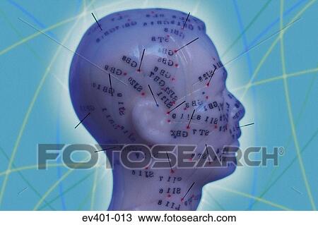 Acupuncture View Large Photo Image Stock Image - Acupuncture. Fotosearch