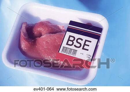 BSE View Large Photo Image Picture - BSE. Fotosearch