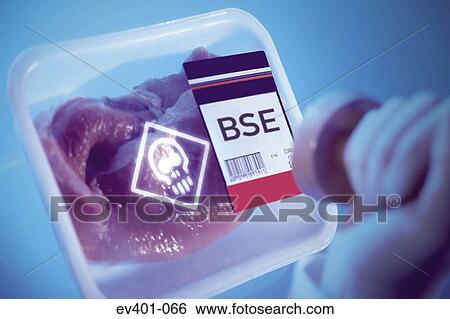 BSE View Large Photo Image Stock Photograph - BSE. Fotosearch