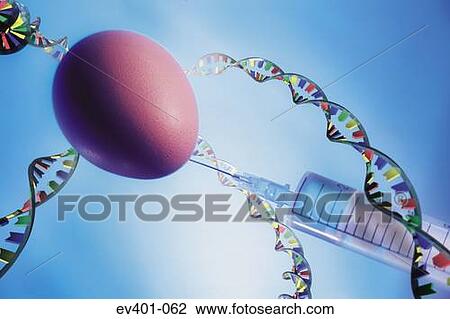 Genetic engineering View Large Photo Image Stock Image - Genetic engineering. Fotosearch