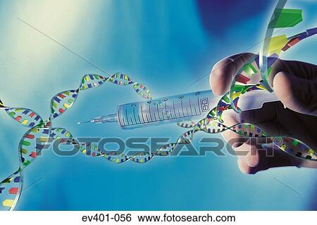 Genetic engineering View Large Photo Image Stock Photograph - Genetic engineering. Fotosearch