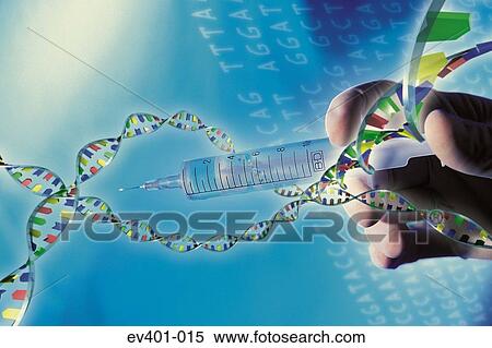 Genetic engineering View Large Photo Image Stock Photography - Genetic engineering. Fotosearch
