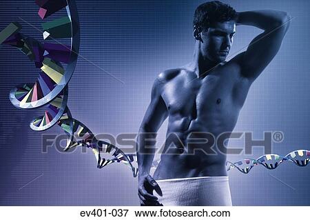 Stock Photo - Genetic inheritance. Fotosearch