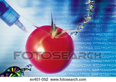 Genetic modification View Large Photo Image Stock Image - Genetic modification. Fotosearch
