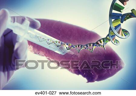 GM meat View Large Photo Image Stock Photo - GM meat. Fotosearch