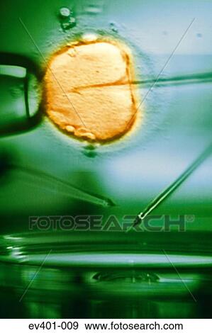 Laboratory testing View Large Photo Image Stock Photo - Laboratory testing. Fotosearch